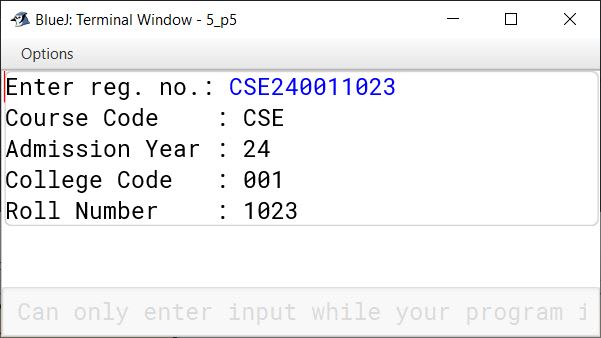 A university student's registration number follows the format: Practice Test ICSE Computer Applications Class 10