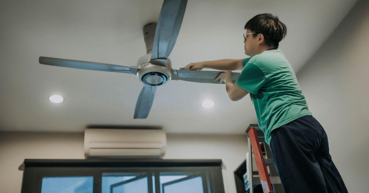 Karan was standing on a high stool and cleaning the ceiling fan. ICSE 2026 Biology Solved Question Paper.