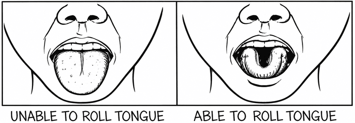 Tongue rolling is a dominant trait. Arun who cannot roll his tongue, marries a woman who is a carrier of the trait. What percentage of their children can roll their tongue? Specimen Paper 2027, ICSE Biology 2027 Specimen Paper Solved.
