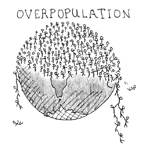 In the last century, the human population has increased tremendously. Death rate has reduced and life expectancy has increased. This rapid growth has placed significant pressure on resources. Global cooperation is needed for environmental preservation. ICSE 2025 Biology Solved Question Paper.