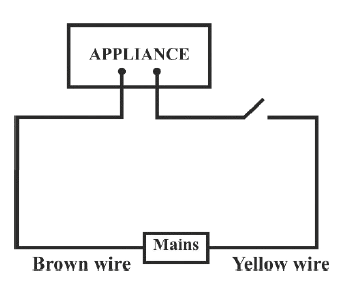 Identify the option that displays the correct wiring with correct colour code. ICSE 2024 Physics Solved Question Paper.