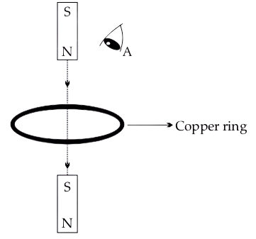 The following figure shows a small bar magnet falling freely through a copper ring. For the observer at A, the direction of the induced current will be. ICSE 2025 Physics Solved Question Paper.
