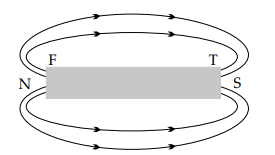 Since, looking from the F side current is flowing in anti-clockwise direction and hence, north pole developed at that end and south pole at the T end.ICSE 2025 Physics Solved Question Paper.