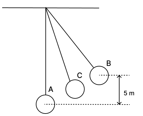 The figure below shows a simple pendulum of mass 200 g. It is displaced from the mean position A to the extreme position B. The potential energy at the position A is zero. At the position B the pendulum bob is raised by 5 m. ICSE 2025 Specimen Physics Solved Question Paper.