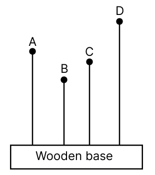 The diagram below displays four solid plastic balls attached to wires, all mounted on a wooden base. When a person shakes the wooden base back and forth at a steady pace, the balls begin to vibrate as well. It is noted that while all the balls vibrate, only one of them vibrates vigorously. ICSE 2025 Improvement Physics Solved Question Paper.