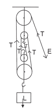 The labelled diagram of the system indicating clearly, the direction of the load and effort is shown below. ICSE 2025 Specimen Physics Solved Question Paper.