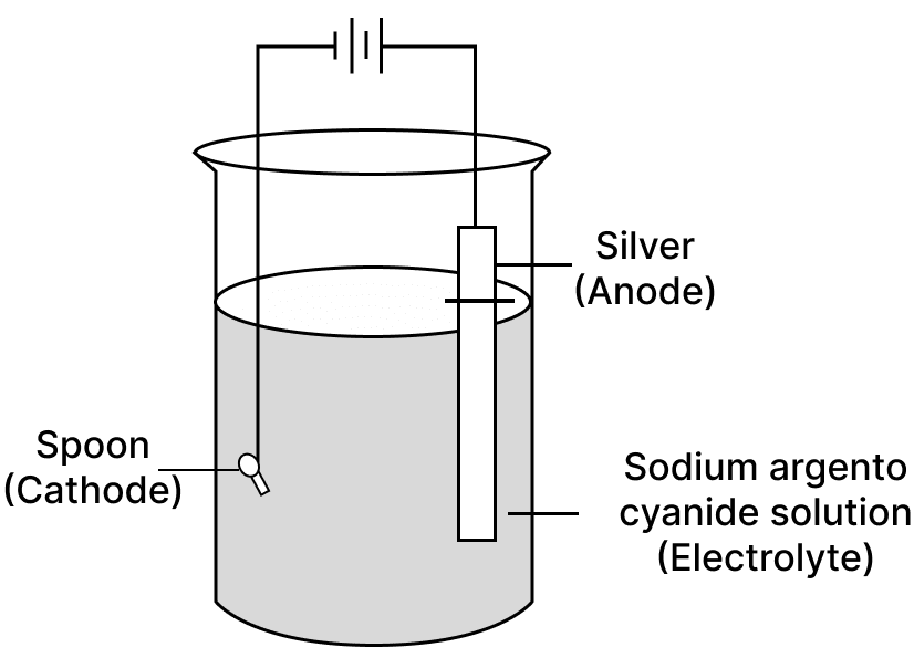 The diagram given below shows the electroplating of a spoon with silver. With reference to the diagram, answer the following questions: ICSE 2026 Chemistry Solved Question Paper.