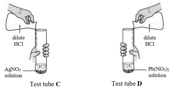 Rohit took two different salt solutions in test tubes C and D as shown in the figure below. He added dilute HCl to each of the two test tubes. The products formed in the test tubes C and D are silver chloride and lead chloride respectively. ICSE 2025 Chemistry Solved Question Paper.