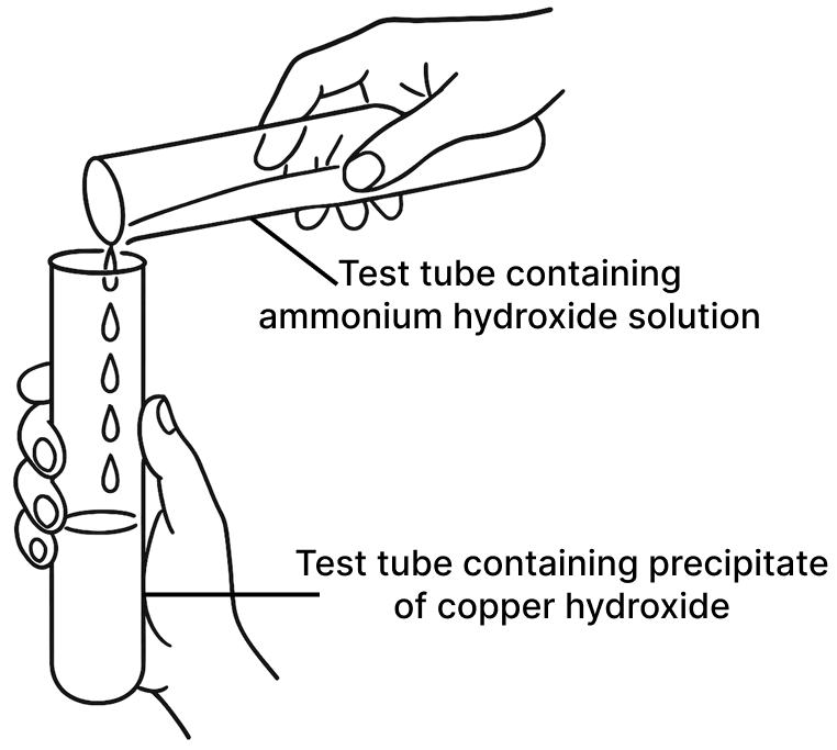 A student was asked to perform two experiments in the laboratory based on the instructions given: Observe the picture given below and state one observation for each of the Experiments 1 and 2 that you would notice on mixing the given solutions. ICSE 2026 Specimen Chemistry Solved Question Paper.