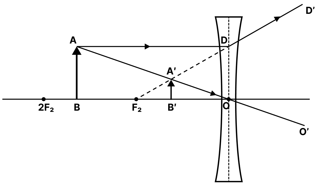 Draw a ray diagram to show the formation of an image by a concave lens when the object is placed between F and 2F. Specimen Board Paper 2027, ICSE 2027 Specimen Physics Solved Question Paper.