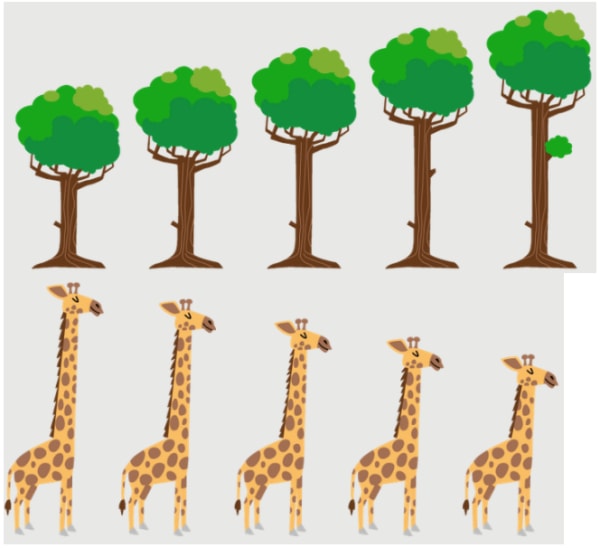 Trees sorted in ascending order Giraffes sorted in descending order