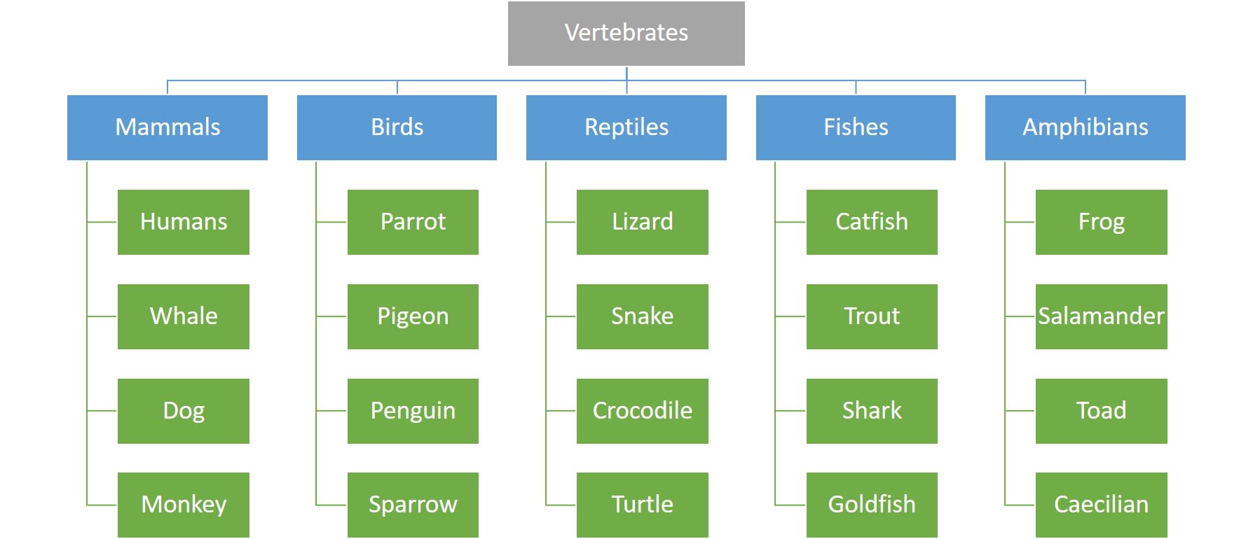 Animal class hierarchy as an example of inheritance to explain ICSE Computer Applications