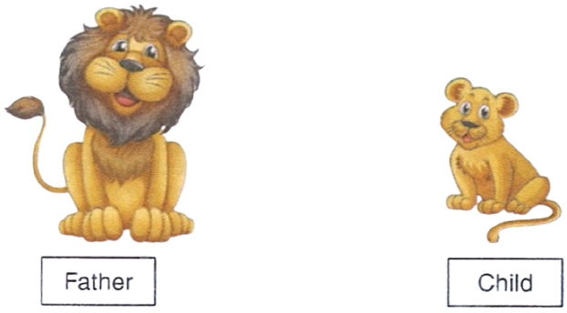 Name the feature of Java depicted in the below picture. Introduction to Object Oriented Programming Concepts, APC Understanding ICSE Computer Applications with BlueJ Solutions Class 10