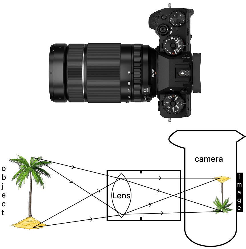 The below image is that of a Digital Single Lense Reflector (DSLR) Camera which are used to take high resolution photographs by professional photographers. The second image of the below two is a schematic diagram of how an image is formed on the sensor of the camera. Based on your understanding of the lenses, answer the following questions. CBSE 2026 Science Class 10 Sample Question Paper Solved.