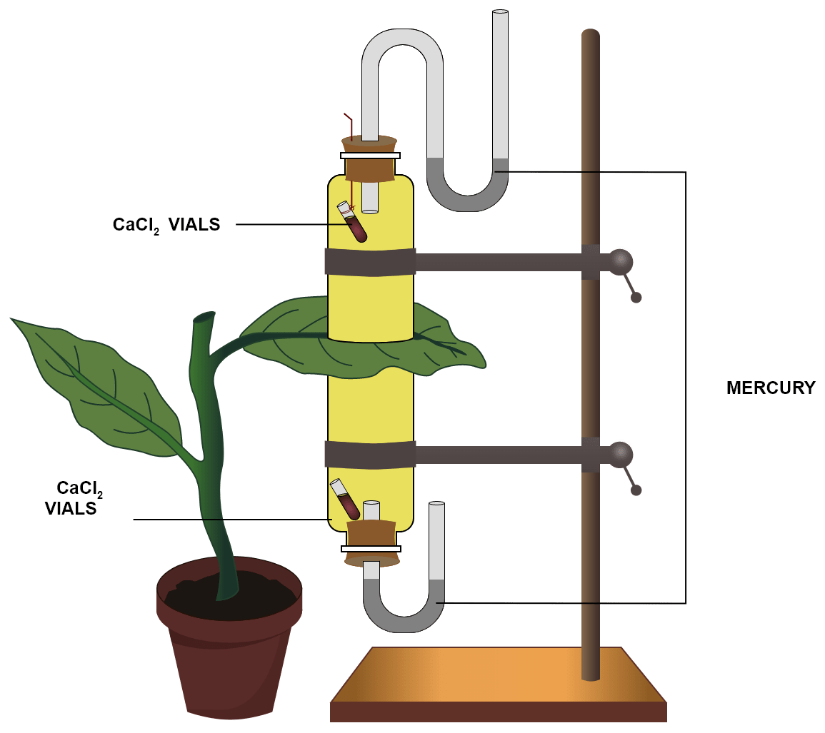 The apparatus shown in the diagram is Garreau's potometer designed to demonstrate unequal transpiration from the two surfaces of a dorsiventral leaf. Equal amounts of calcium chloride (CaCl2) was taken in two vials, which were placed in two cups. The leaf was placed between the cups. The ends of the cups were closed with corks through which two mercury manometers were connected. After few hours, CaCl2 vials were taken out and weighed again. What is the purpose of keeping CaCl2 vials inside the cup? After few hours CaCl2 vials were taken out and weighed again. Will you expect any difference in weight? If so, give reason. What is the purpose of using a manometer? What do you mean by transpiration? Transpiration, Concise Biology Solutions ICSE Class 10.