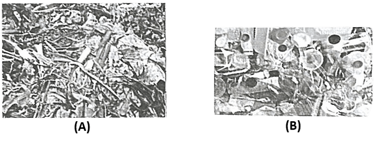 Study the pictures given below of the two main categories of wastes and answer the questions: Genetics, Concise Biology Solutions ICSE Class 10.