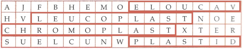 Placeholder for cell organelle word maze