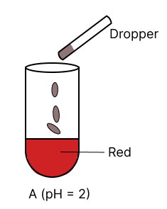 A few drops of universal indicator are added to colourless solution A, B, C and D with pH 2, 10, 9 and 7 respectively. Which of the following test tube is labelled with incorrect colour. Model Paper 2, Concise Chemistry Solutions ICSE Class 10