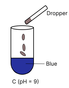 A few drops of universal indicator are added to colourless solution A, B, C and D with pH 2, 10, 9 and 7 respectively. Which of the following test tube is labelled with incorrect colour. Model Paper 2, Concise Chemistry Solutions ICSE Class 10