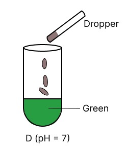 A few drops of universal indicator are added to colourless solution A, B, C and D with pH 2, 10, 9 and 7 respectively. Which of the following test tube is labelled with incorrect colour. Model Paper 2, Concise Chemistry Solutions ICSE Class 10