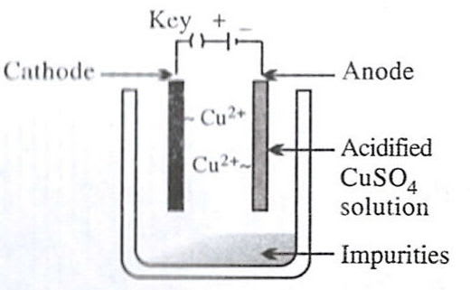 Which of the following figures correctly describes electrorefining? Model question paper 1 Solutions ICSE Class 10.
