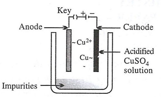 Which of the following figures correctly describes electrorefining? Model question paper 1 Solutions ICSE Class 10.