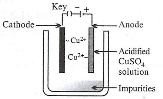 Which of the following figures correctly describes electrorefining? Model question paper 1 Solutions ICSE Class 10.