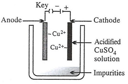 Which of the following figures correctly describes electrorefining? Model question paper 1 Solutions ICSE Class 10.