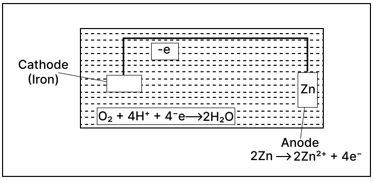 Study the given figure and answer the given questions. Chemistry Competency Focused Practice Questions