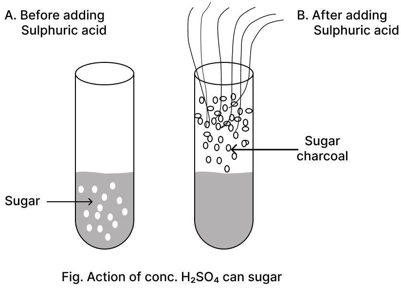 With reference to the reaction occurring in the given figure: Chemistry Competency Focused Practice Questions
