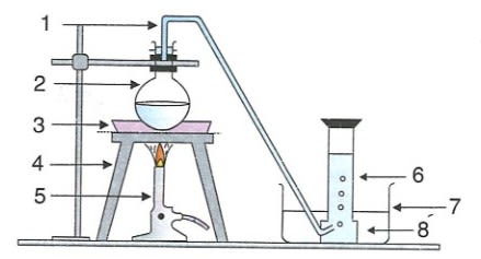 Label the marked equipments and apparatus in the diagram given below. Common Laboratory Apparatus and
Equipments, Concise Chemistry Solutions ICSE Class 6.