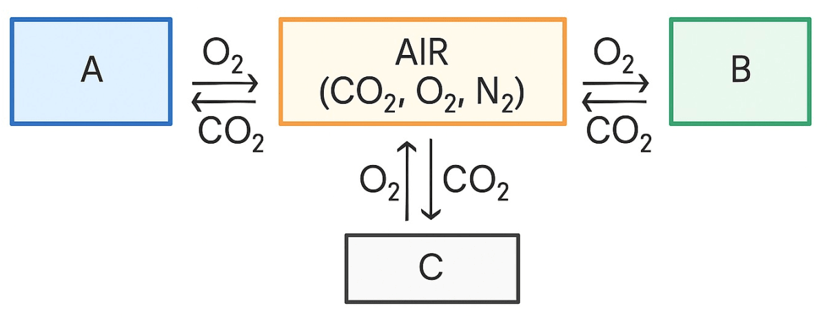 Study the diagram and name the processes A, B and C. Air Atmosphere, Concise Chemistry Solutions ICSE Class 6.