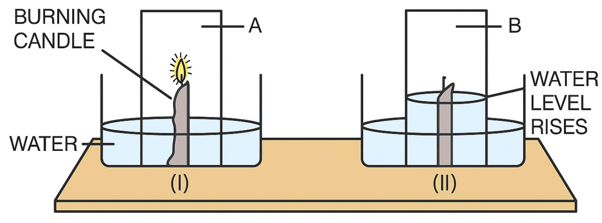 In an experiment done with a burning candle, the apparatus was set up as shown below. Initially, the candle burns but after sometime it gets extinguished. Air Atmosphere, Concise Chemistry Solutions ICSE Class 6.