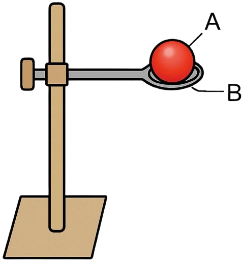 Look at the diagram given alongside and answer the questions that follow: Matter, Concise Chemistry Solutions ICSE Class 6.