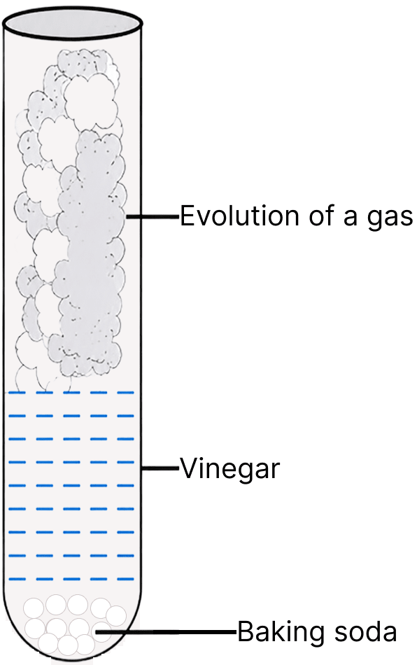 A teacher demonstrated an experiment in the class to show the evolution of a gas during a chemical reaction. She took some baking soda in a test tube and added some vinegar to it. Elements, Compounds and Mixtures, Concise Chemistry Solutions ICSE Class 7