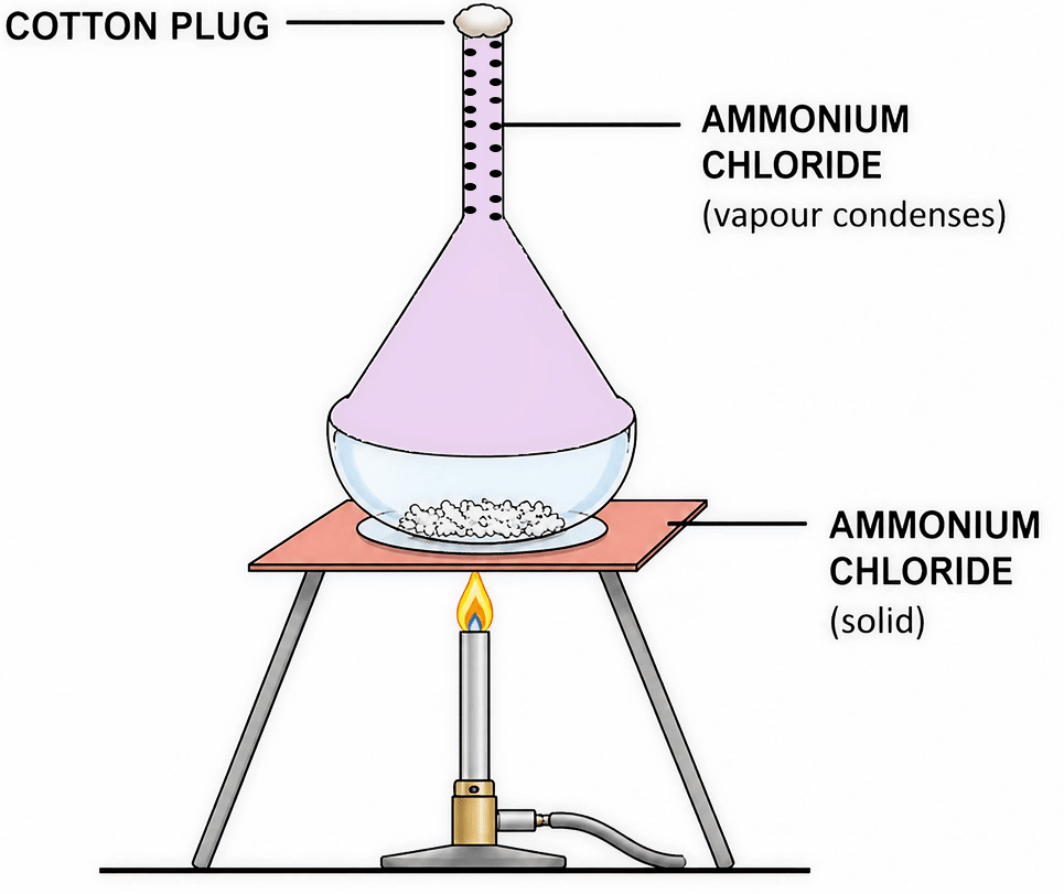 A well-labelled diagram to show the process of sublimation of ammonium chloride is given below: Elements, Compounds and Mixtures, Concise Chemistry Solutions ICSE Class 7