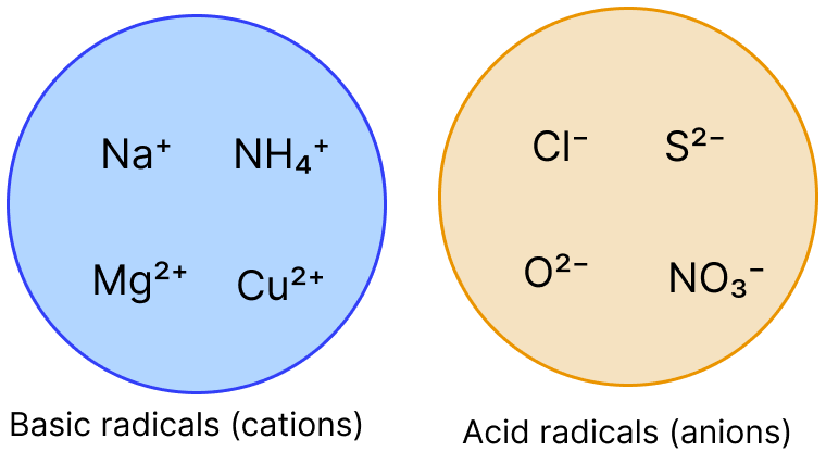 Given below are two groups showing basic and acid radicals. Based on these two groups, answer the questions that follow. language-chemistry, Concise Chemistry Solutions ICSE Class 8