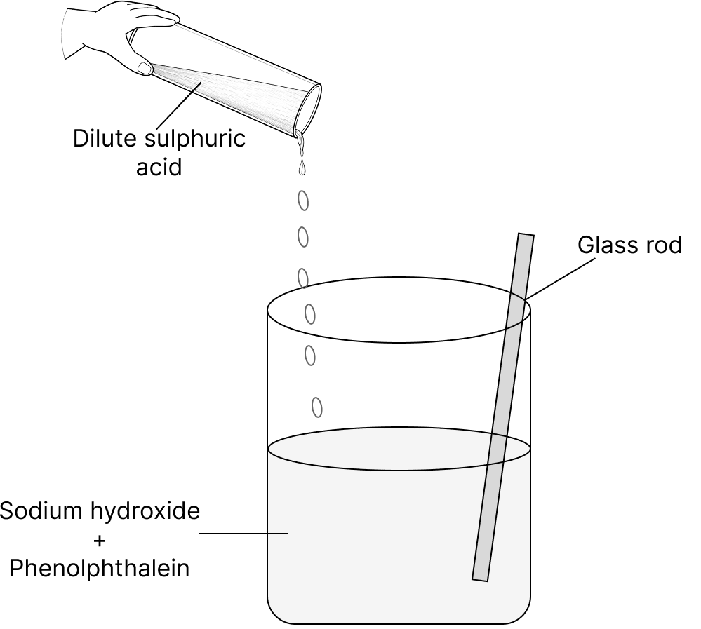 A teacher showed a chemistry experiment in the class to her students. She poured about 100 ml of sodium hydroxide into a beaker and added a few drops of phenolphthalein to it. The colour of the solution immediately changed. Then she added dilute sulphuric acid to the beaker slowly, while constantly stirring the solution with a glass rod. She kept on adding dilute sulphuric acid until the solution became colourless again. Then she called her students to touch the beaker. Chemical Reactions, Concise Chemistry Solutions ICSE Class 8