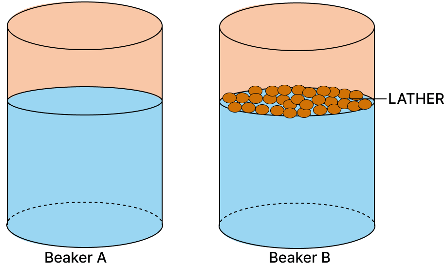 To explain the difference between hard water and soft water, a chemistry teacher took tap water in two beakers labelled A and B. A pinch of magnesium sulphate was dissolved in beaker A, while beaker B contained only tap water. Soap solution was then added to both the beakers and stirred. The students noticed a difference in the lather formed. Water, Concise Chemistry Solutions ICSE Class 8