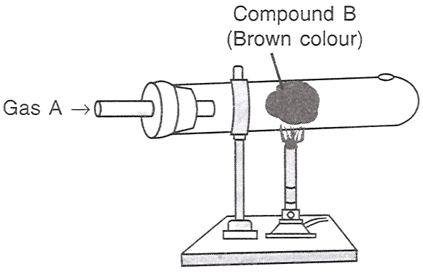 Which of the following statements is/are correct with respect to the figure shown alongside? Concise Chemistry Solutions ICSE Class 9.