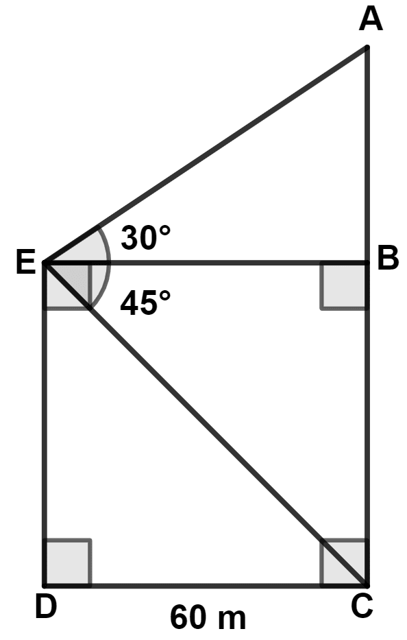 The length of AC is : Heights and Distances, Concise Mathematics Solutions ICSE Class 10.