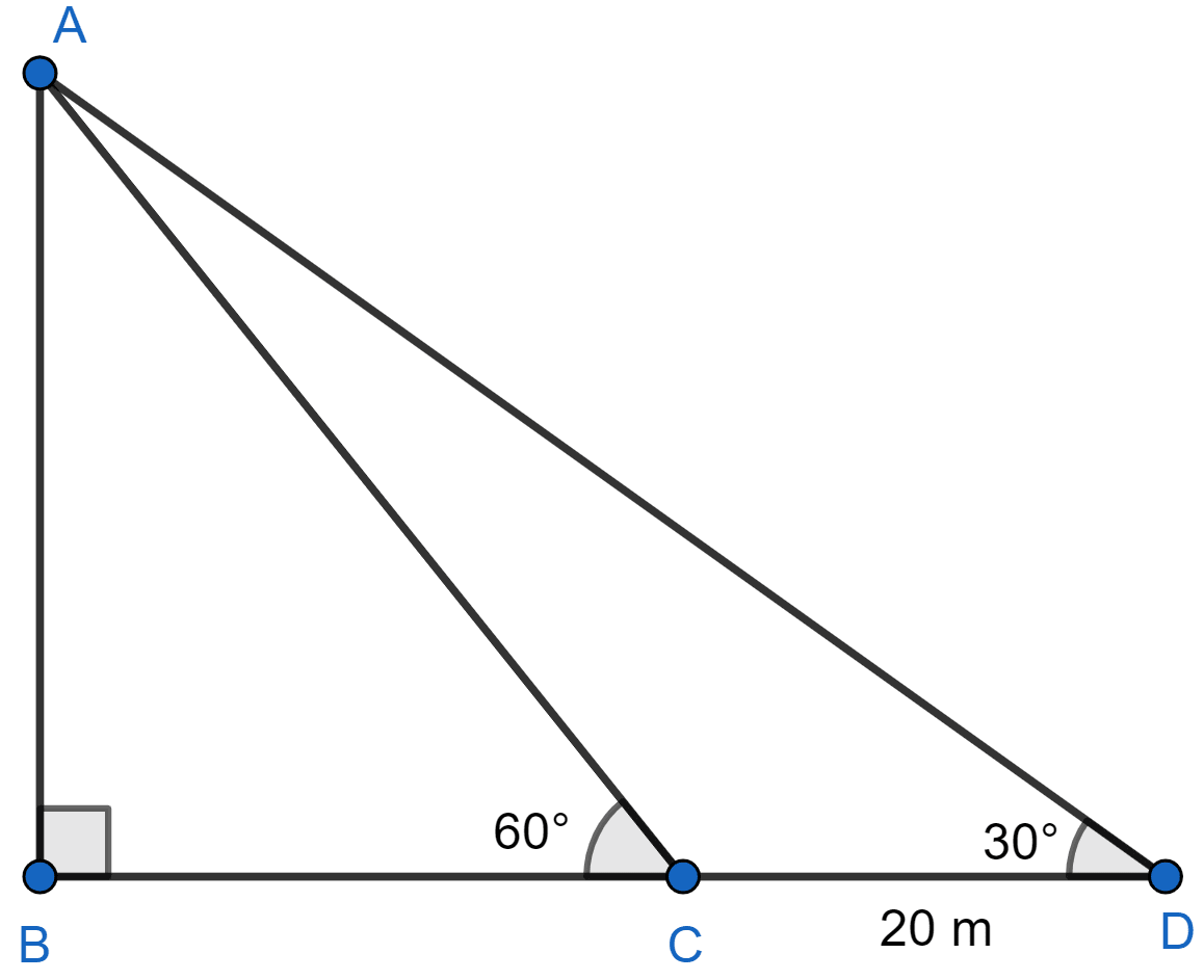 Find the height of a tree when it is found that on walking away from it 20 m, in a horizontal line through its base, the elevation of its top changes from 60° to 30°. Heights and Distances, Concise Mathematics Solutions ICSE Class 10.