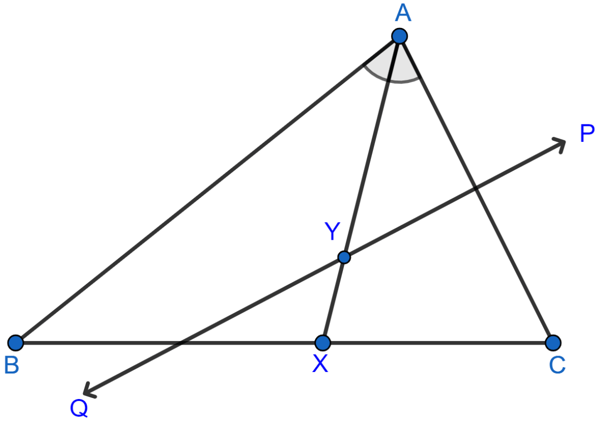 Given: AX bisects angle BAC and PQ is perpendicular bisector of AC which meets AX at point Y. Prove: (i) X is equidistant from AB and AC. (ii) Y is equidistant from A and C. Loci, Concise Mathematics Solutions ICSE Class 10.