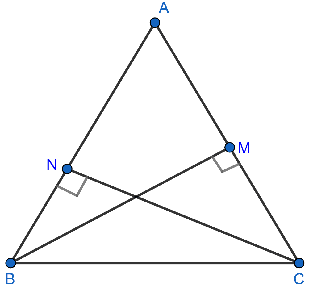 In ΔABC, BM ⊥ AC and CN ⊥ AB; show that: AB/AC = BM/CN = AM/AN. Similarity, Concise Mathematics Solutions ICSE Class 10.