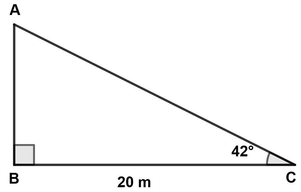 The upper part of a tree is broken over by the wind and makes an angle of 42° with the ground. The horizontal distance from the root of the tree to the point where the top of tree meets the ground is 20 m. Model Question Paper - 2, Concise Mathematics Solutions ICSE Class 10.