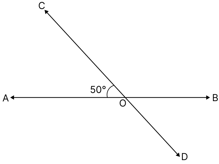 Two straight lines AB and CD intersect each other at a point O and angle AOC = 50°; find:. Fundamental Concepts, Mathematics Solutions ICSE Class 6.