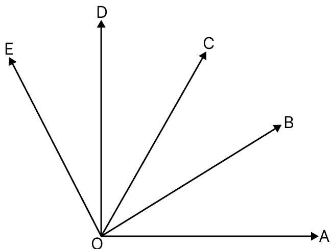 In the adjoining figure, write all possible angles formed. Neglect reflex angle(s). Fundamental Concepts, Mathematics Solutions ICSE Class 6.