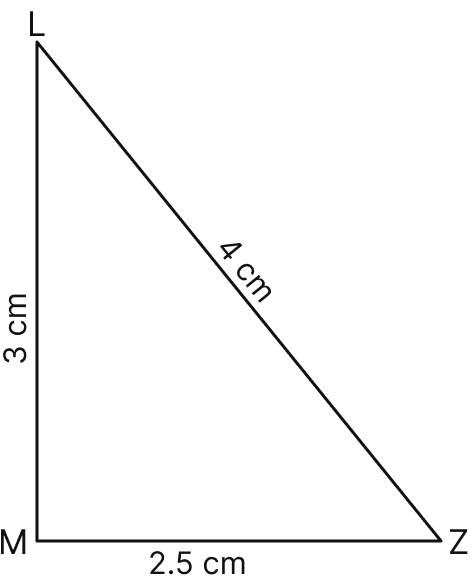 Classify the following triangle according to the lengths of its sides:. Triangles, Mathematics Solutions ICSE Class 6.
