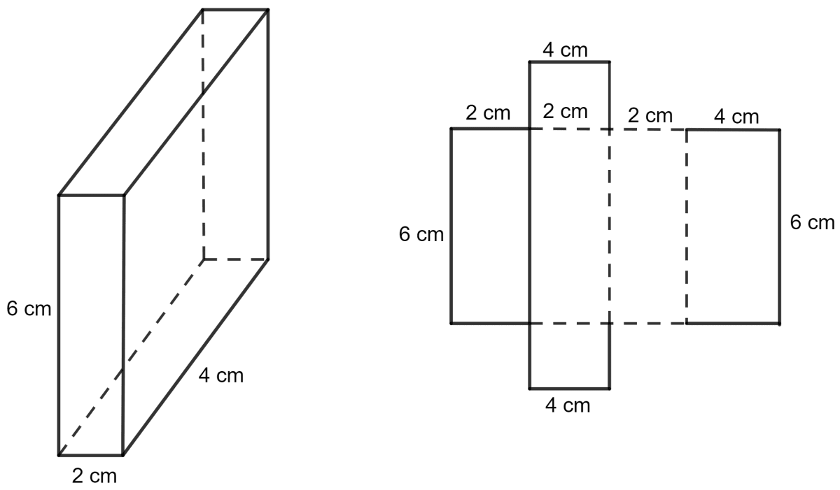 The dimensions of a cuboid are 6 cm x 4 cm x 2 cm. Draw two different nets of it. Representing 3-D in 2-D, Concise Mathematics Solutions ICSE Class 8.