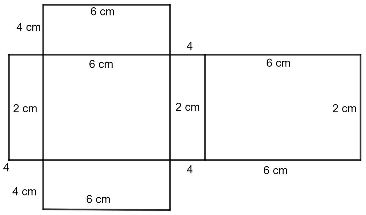 The dimensions of a cuboid are 6 cm x 4 cm x 2 cm. Draw two different nets of it. Representing 3-D in 2-D, Concise Mathematics Solutions ICSE Class 8.